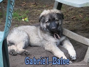 Gabriël-Baloe